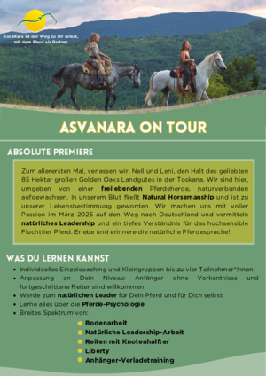 Aktueller Kurs - März 2025